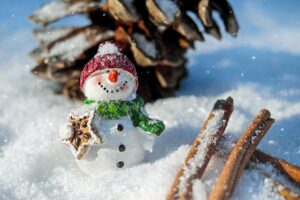 snowman, snow, christmas-1882635.jpg